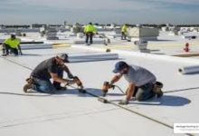 Enhance Your Building's Durability with Professional Thermoplastic Polyolefin Roofing Services