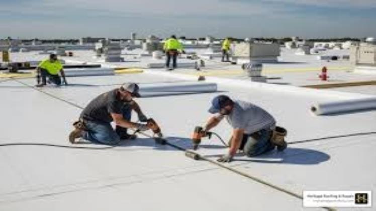 Enhance Your Building's Durability with Professional Thermoplastic Polyolefin Roofing Services